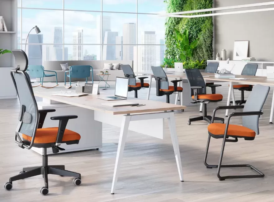 Cavaletti NewNetSoft - A engenharia do conforto adaptável.